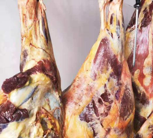 1611670638450737.jpg 牛肉1.JPG